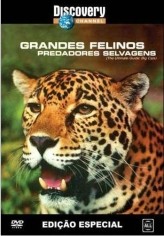 Grandes Felinos